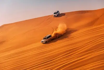 Dubai Desert Safari in Private Car