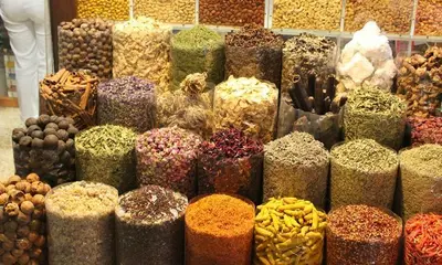 Epic Dubai Adventure Ideas for Couples: Desert Safaris, Yacht Cruises & Sky-High Romance