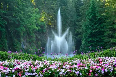 Victoria and Butchart Gardens, an Elevated Experience
