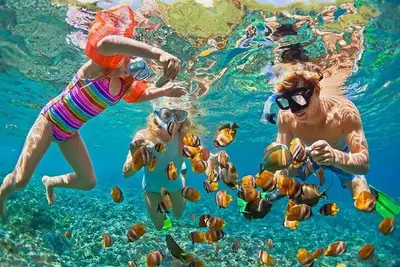 Honolulu Sailing and Snorkeling Activity