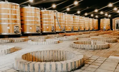 An Introduction To Wines Of Georgia Geography, Tasting, and Pairing Ideas