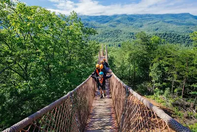 Mountaintop Zipline 2-Hours Activity