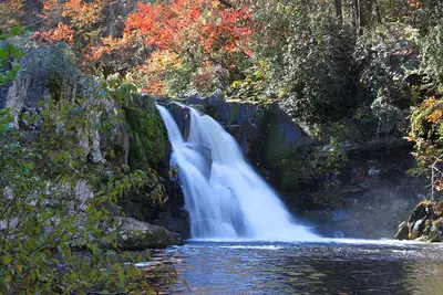 Cades Cove Sightseeing Self-Guided Driving Audio Tour