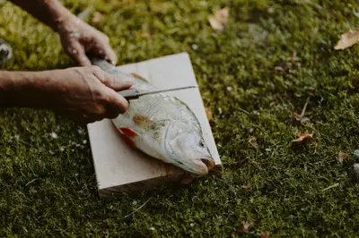 From Scottish Highlands to Cornish Coast: Seven Spots To Visit For UK Fishing Trip With The Boys