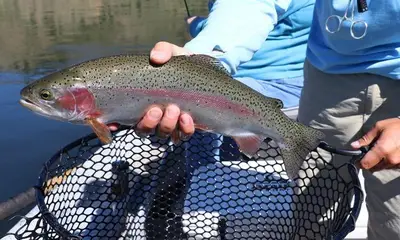 How To be a More Responsible Fisherman When You Travel