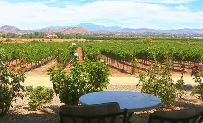A Romantic Temecula Getaway At Carter Estate Winery and Resort