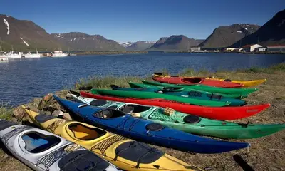 Iceland Travel Ideas Men Need To Try: Penis Museum, 24-Hour Golf & Fermented Shark Snacks
