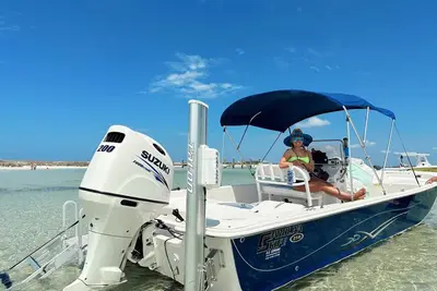 Snorkeling, Dolphin and Wildlife Sightings at St. Andrews Bay