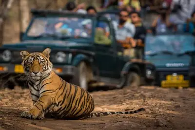 Golden Triangle & Ranthambore: 4-Day Private Tour from Delhi