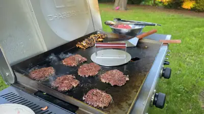 Backyard Grilling Pest Control: Beyond Just Mosquito Prevention