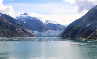 Glaciers, Salmon, Bears and More on an Alaska Cruise