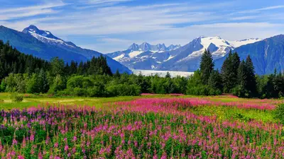 Seattle, Juneau & Canadian Coasts Cruise