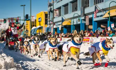 Alaska Words And Phrases That You Might Hear When You Visit